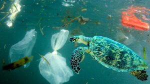 Cause dell'inquinamento marino, rifiuti plastici