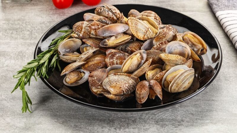 Quali sono i benefici delle vongole?